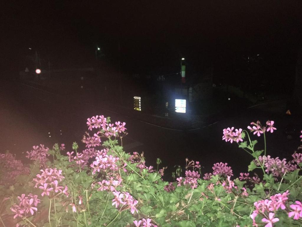 Albergo Croce D'Aune ペダヴェーナ エクステリア 写真